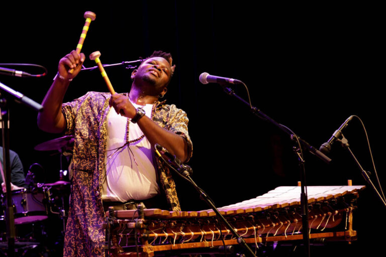 #NDG2025-Festival La Nuit Des Griots-10eme edition-Lawrence Damalric (21)